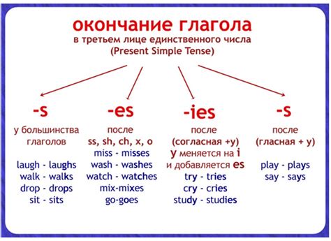 Правило добавления s в английском языке