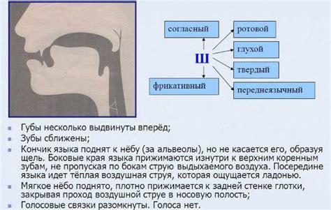 Правильная артикуляция и голосовое дыхание