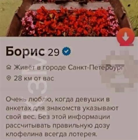 Правильная подготовка крючковяза