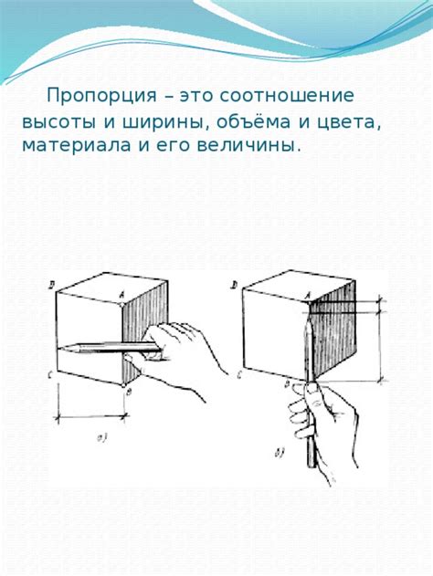 Правильная пропорция ширины и высоты: важность выбора