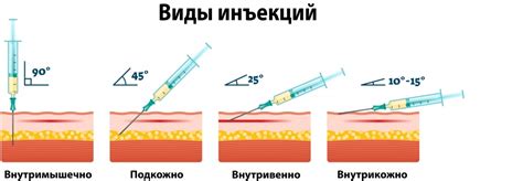 Правильная техника введения капель в нос собаке