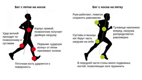 Правильная техника движения