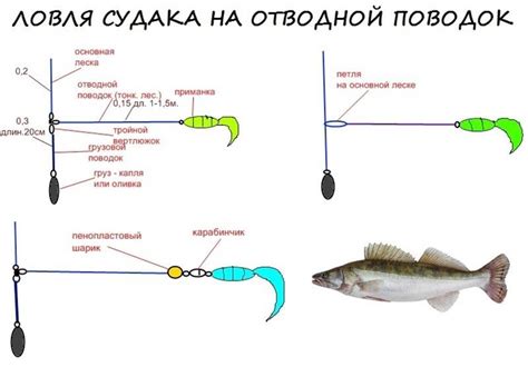 Правильная техника ловли судака на червя