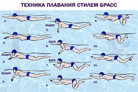 Правильная техника плавания: основные движения и ключевые моменты