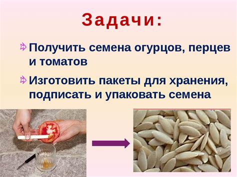 Правильная техника сбора семян