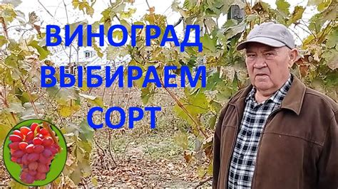 Правильное выбор сорта: