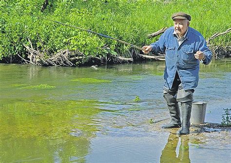 Правильное использование манной каши на рыбалке