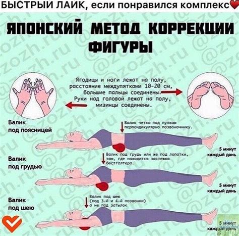 Правильное питание для енота