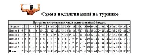 Правильное питание для увеличения числа подтягиваний