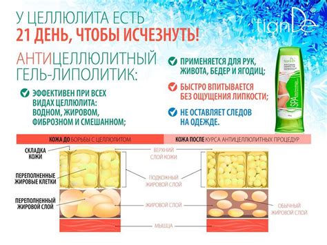 Правильное питание для устранения целлюлита на ногах и коленях