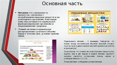 Правильное питание и контроль над потреблением калорий