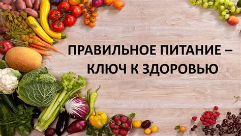 Правильное питание как ключ к успеху