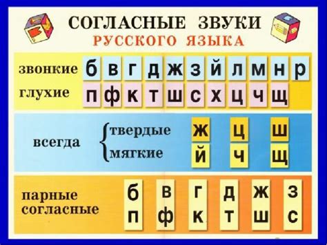 Правильное произношение буквы "я" и ее отличия от буквы "а"