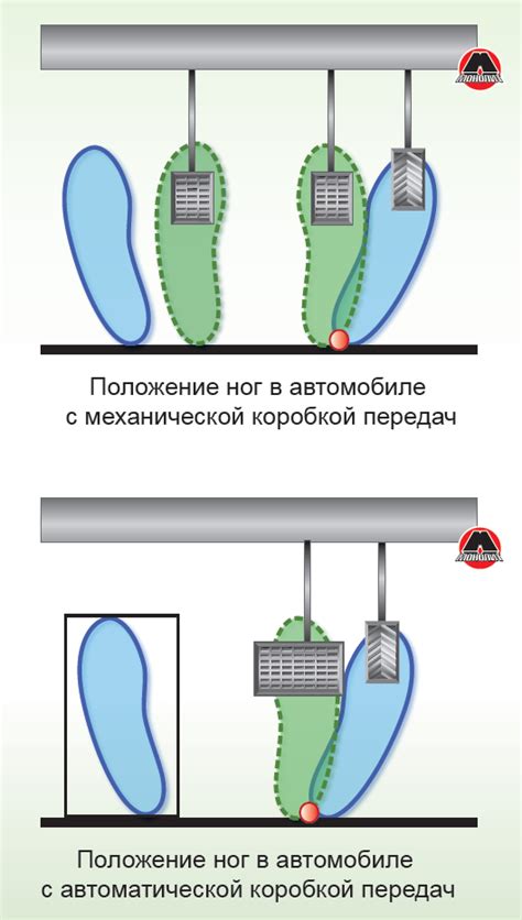 Правильное размещение ног и рук в ваге: основные принципы