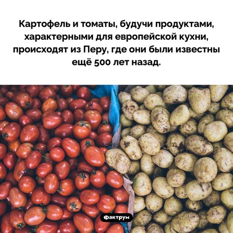 Правильное соотношение картофеля с другими кормовыми продуктами