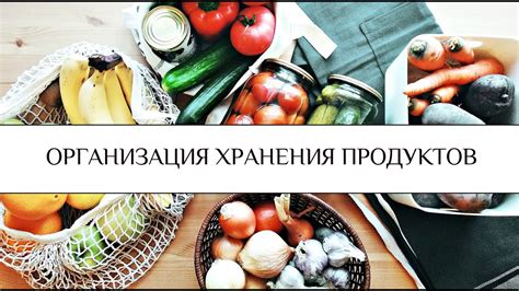 Правильное хранение продуктов в борьбе с мухами