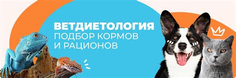 Правильный подбор кормов