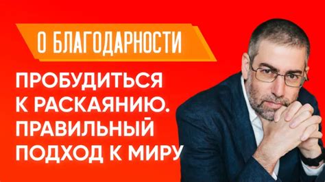 Правильный подход к купанию вислоухой