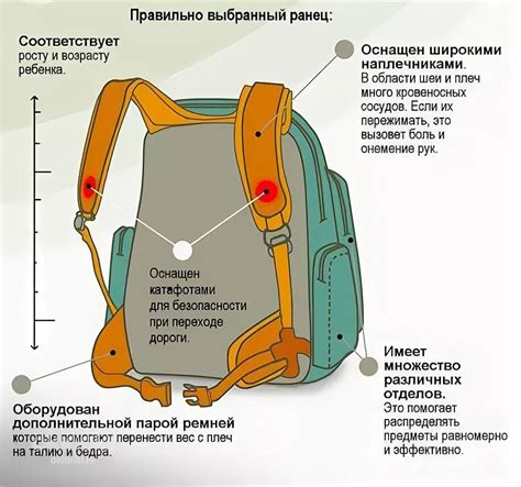 Правильный размер рюкзака по росту