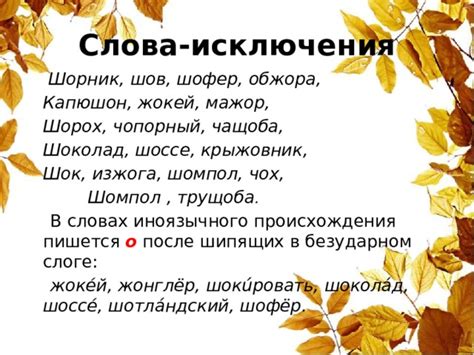 Правописание слова "шорник"