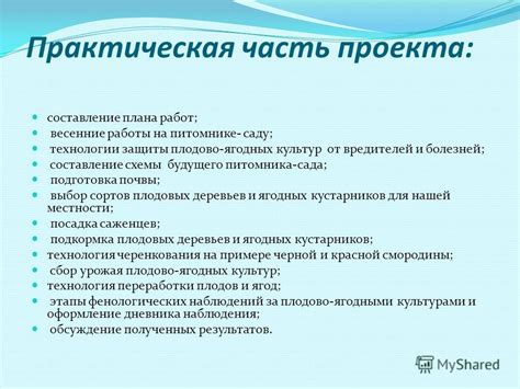 Практическая часть: разработка проектов