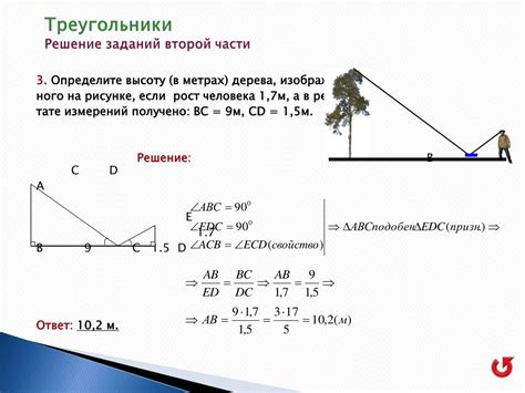 Практические задачи с решениями