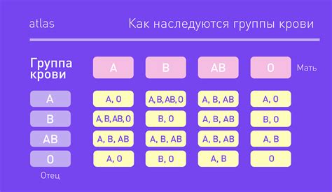 Практическое применение знания о группе крови: выгоды и риски