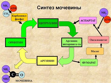 Практическое применение мочевины и проблемы с ее растворимостью