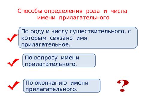 Практическое применение определения рода и числа прилагательного