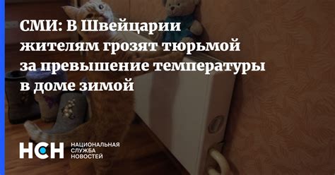 Превышение температуры: вредные последствия