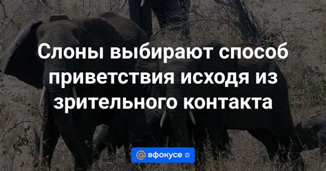 Предложите альтернативный способ приветствия