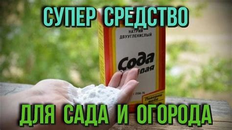 Предостережения и рекомендации при использовании соды для избавления от сульфатации