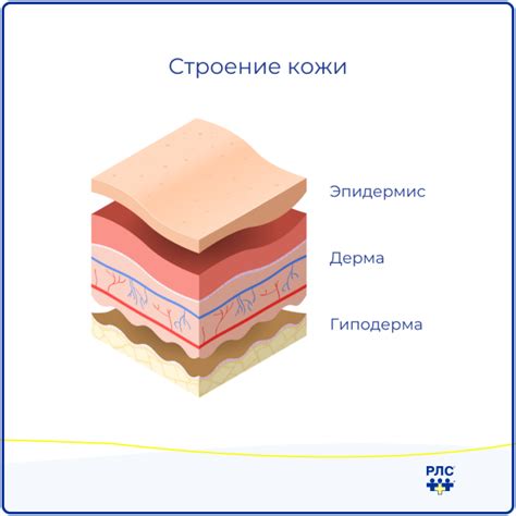 Предостережения при удалении чешуйки