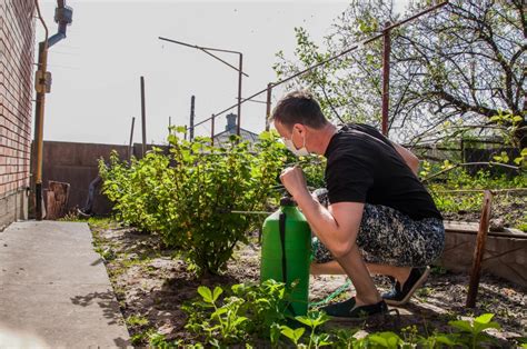 Предотвращение болезней и вредителей