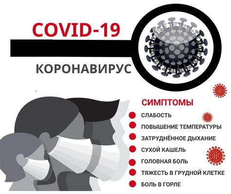 Предотвращение новой инфекции и повторного появления блох