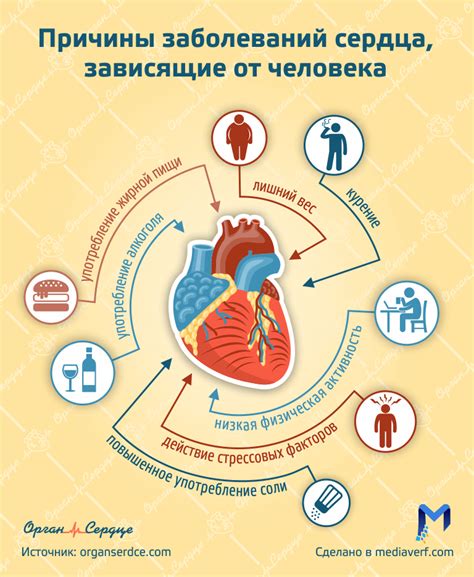 Предотвращение развития сердечно-сосудистых заболеваний