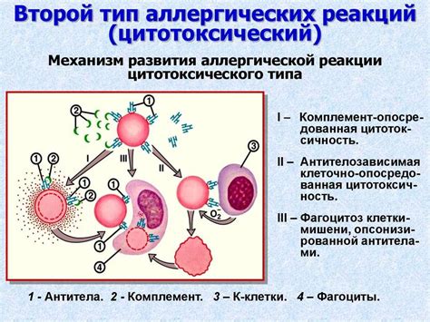 Предотвращение раздражений и аллергических реакций