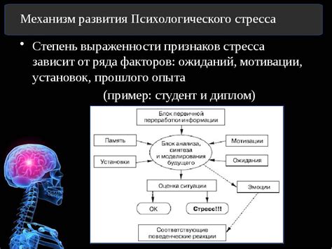 Предотвращение эмоционального и психологического стресса