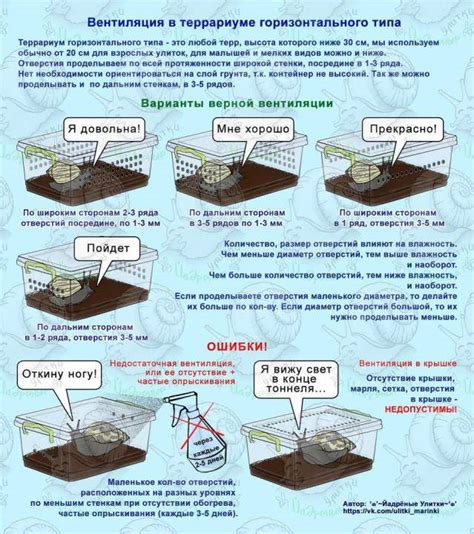 Предпочитаемая температура и освещение для улиток