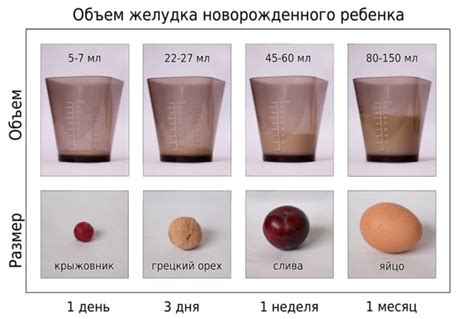 Предпочтительность грудного молока или адаптированной смеси