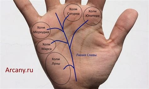 Предсказание финансового положения по линии успеха