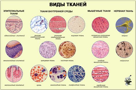 Прежде всего нужно знать тип ткани