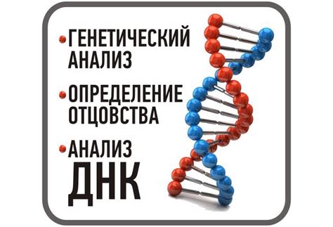 Преимущества анонимного ДНК-теста на отцовство