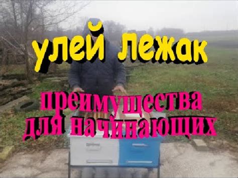 Преимущества апилифтов для пчеловодов