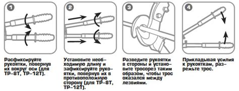 Преимущества закусывания