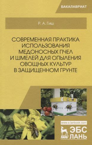 Преимущества использования пчел для опыления огурцов