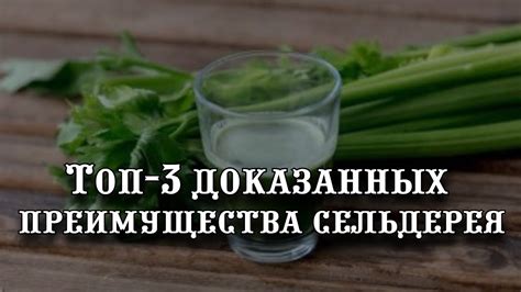 Преимущества использования сельдерея в ухе