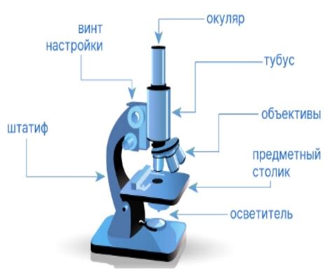 Преимущества использования физической лупы