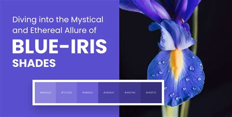 Преимущества использования Blue iris