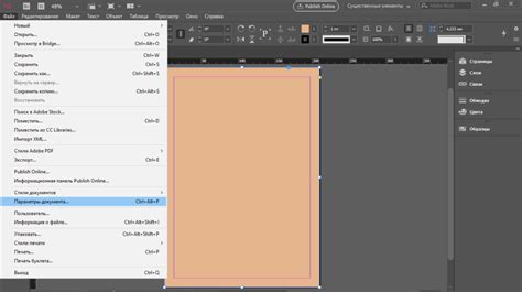 Преимущества использования InDesign для печати